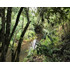 Rupanco 5.000 M2 // Exclusivo Proyecto (99135)