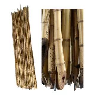 30 Un Tutor Estaca De Bambu P/  Planta 1,70m X 2 Ø X 30 Un 