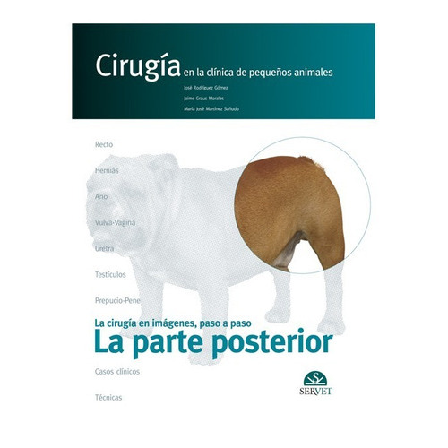La Parte Posterior. Cirugía En La Clínica De Pequeños Animales, De José Rodriguez. Editorial Servet, Tapa Dura En Español, 2005