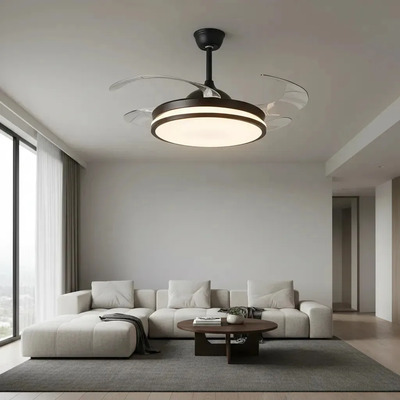Ventilador De Techo Zenith Negro Retractil Luz Control  1.06 M 50hz/ 60hz Negro Transparente Acrílico 4