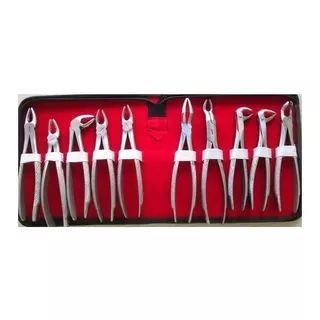 Kit Juego 10 Forceps + Estuche Importado Odontología 