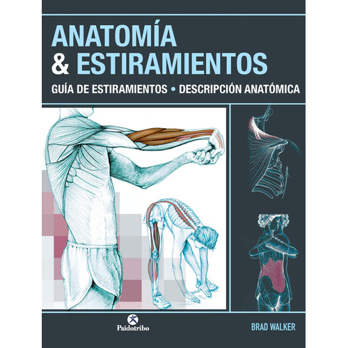 Anatomía & Estiramientos. Guía De Estiramientos. Descripción