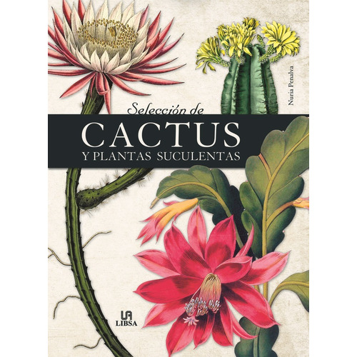 Selecciã³n De Cactus Y Plantas Suculentas - Penalva, Nuri...