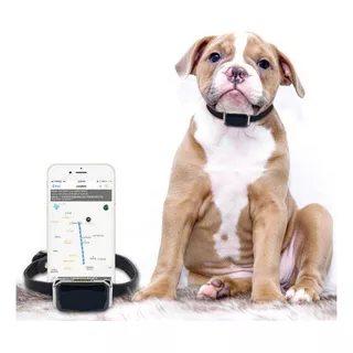 Collar Localizador Rastreador Gps Para Mascotas Perros Gatos