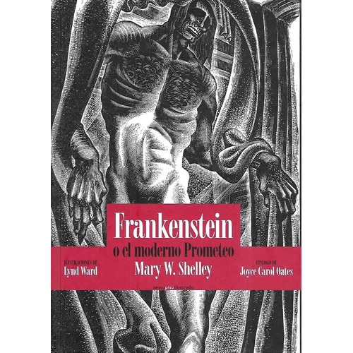 Libro Frankenstein O El Moderno Prometeo Tapa Dura