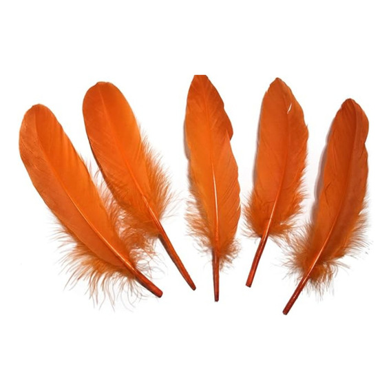 Plumas Decorativas Para Manualidades Color Naranja X100 Und