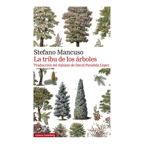 La Tribu De Los Árboles, De Stefano Mancuso., Vol. 1.0. Editorial Galaxia Gutenberg, Tapa Blanda, Edición 1.0 En Español, 2023