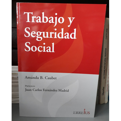 Trabajo Y Seguridad Social / Amanda Caubet