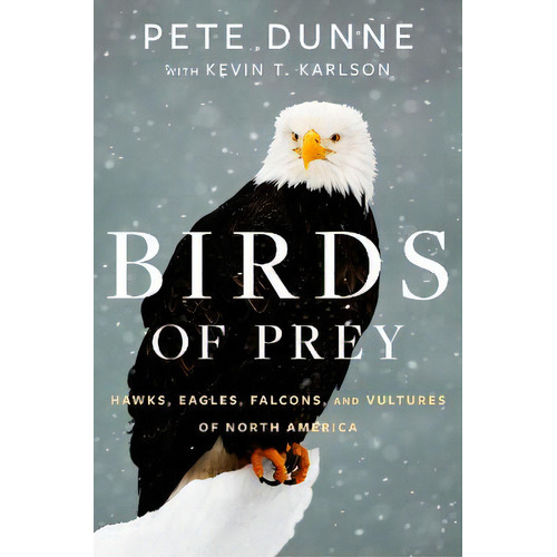 Birds Of Prey, De Pete Dunne. Editorial Houghton Mifflin, Tapa Dura En Inglés
