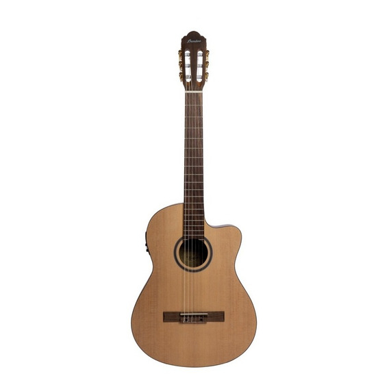 Guitarra Electro Criolla Bamboo Gc-39 Stage Con Eq Y Funda