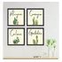 Kit de marcos decorativos, marco, plantas, flores, cactus, pasillo