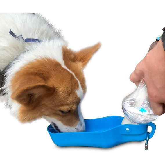 Perrísimo Bebedero Portátil Para Hidratar Tu Mascota 500 Ml Color Azul