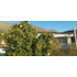 Parcela En Venta | 5.000 M² | 3 Piscinas | Amplios Espacios