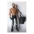 Wwe Damien Sandow Elite Figura 17cm Orig Mattel 2011 Loose