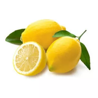 Muda Limão Siciliano Enxertada  - Produz Rápido