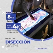 Simulador Virtual De Anatomía - Prácticas De Medicina