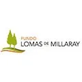 development-logo