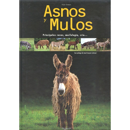 Asnos Y Mulos, De Simeon Victor. Editorial Vecchi, Tapa Dura En Español, 2008