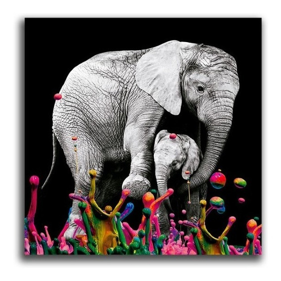 Cuadro Elefante Colores L