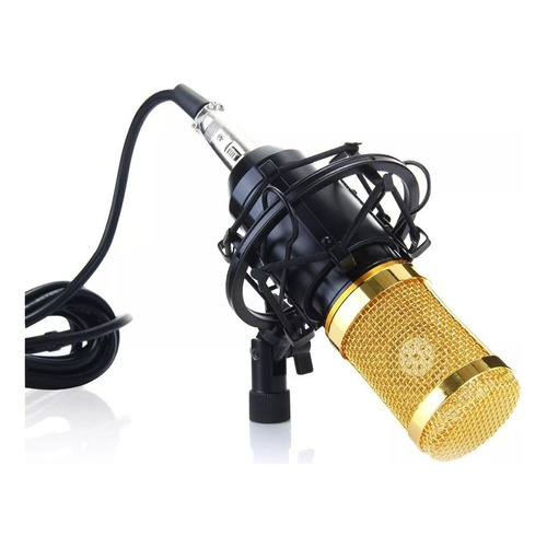 Microfono Profesionalcon Brazo Plegable Y Filtro Condenser Color Plateado
