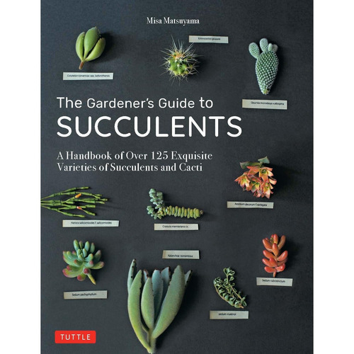 The Gardener's Guide To Succulents: A Handbook Of Ov