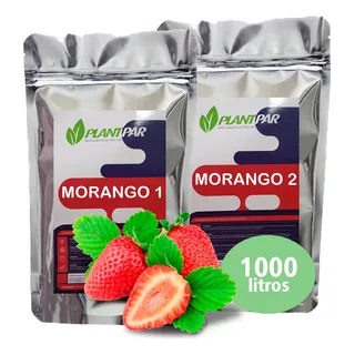 Solução Nutritiva Para Hidroponia Morango 1000 Litros
