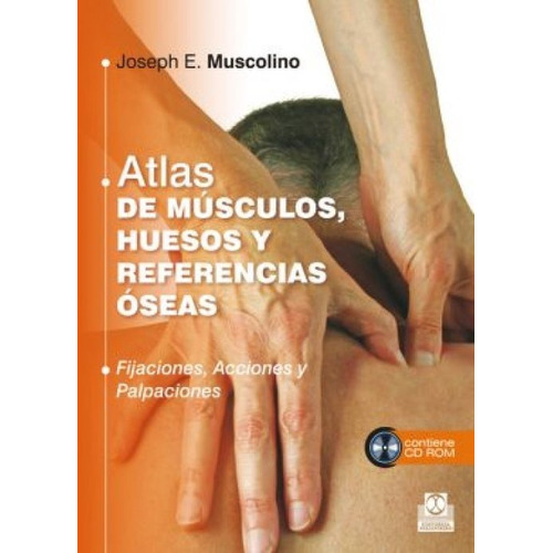 Muscolino Atlas De Músculos, Huesos Y Referencias Óseas