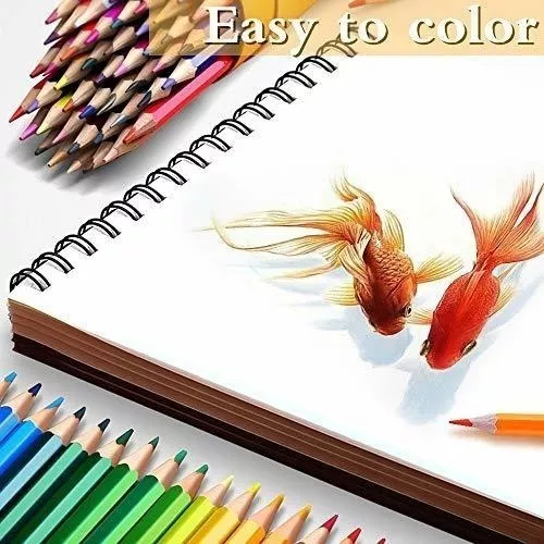 Lapices De Colores Para Niños 48 Piezas Con Estuche Circular