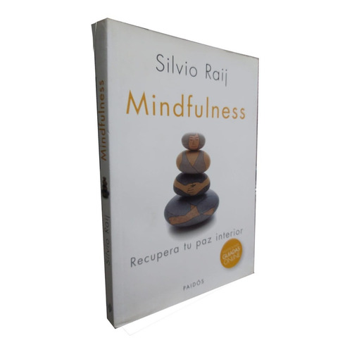 Mindfulness - Silvio Raij