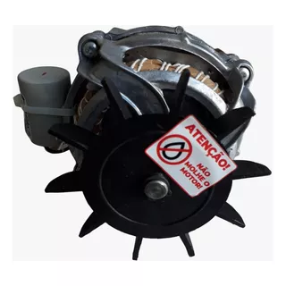 Motor Tanquinho Lis Wanke  1/4hp 60hz 127v Polia 20mm Estria