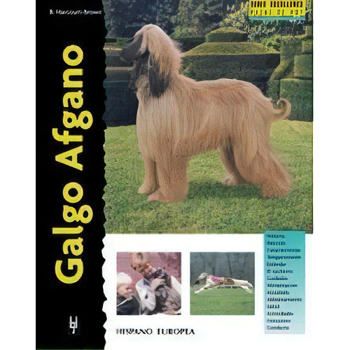 Galgo Afgano De Bryony Harcourt-brown, De Bryony Harcourt-brown. Editorial Hispano Europea En Español