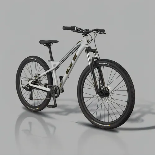 Gt stomper ace 24 2019 2025
