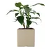Maceta Plástica Rotomoldeada Modelo Cubo N 40 Moderna Amalfi Color Beige