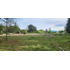 Venta Parcela Robles De Pilauco Osorno (127903)