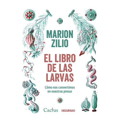 El Libro De Las Larvas - Marion Zilio - Cactus