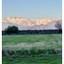 Parcela Urbana En Venta, Rinconada De Los Andes