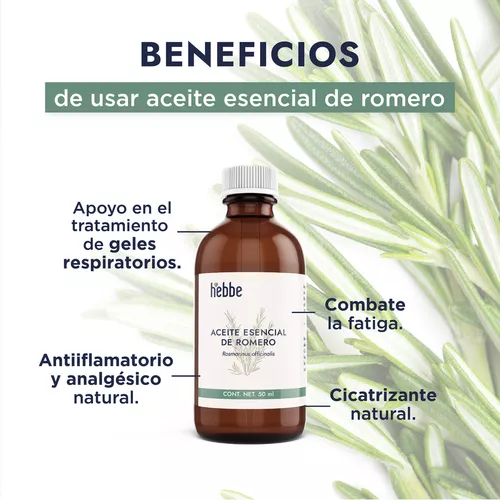 Aceite Esencial de Romero – Bienat Aromaterapia México