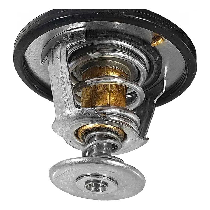 Valvula Termostatica Iguaçu Ford Ka 1.0 2014 A 2017