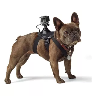 Cinturão Canino Suporte Cachorro Gopro Fetch Dog Adogm-001