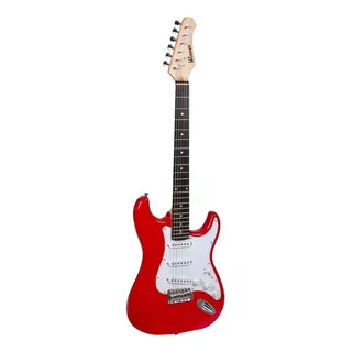 Guitarra Wgs Stratocaster Single Coil Cerâmico Winner