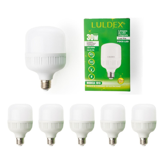 Paquete 10 Focos Led Color Luz Fria 30 W    