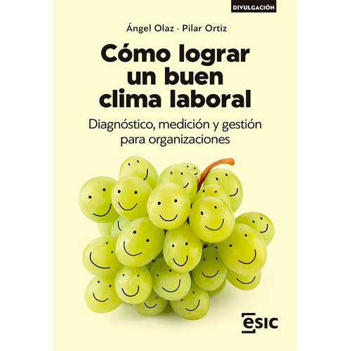 COMO LOGRAR UN BUEN CLIMA LABORAL, de OLAZ , ANGEL. ESIC Editorial, tapa blanda en español