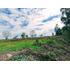Se Vende Terreno Camino Las Rasras Km 24