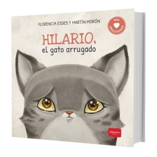 Hilario, El Gato Arrugado - Mis Sentimientos