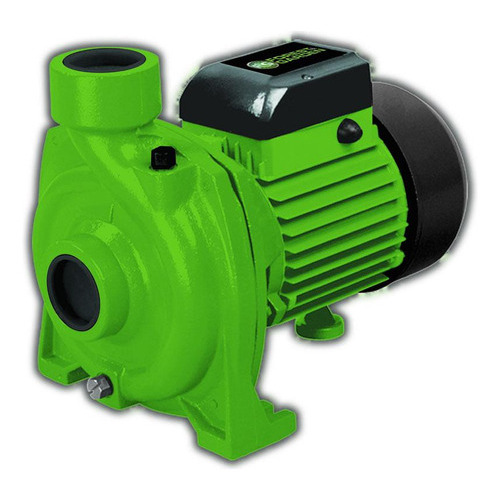 Bomba Centrífuga 1hp - Bc911 - Forest & Garden Pro Color Verde Fase eléctrica Monofásica