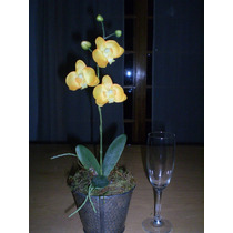 Arreglo Floral Con Orquideas