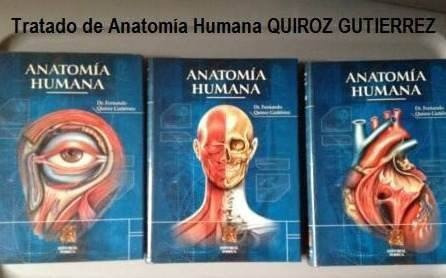 Anatomia De Quiroz Tomo 1 Pdf Descargar