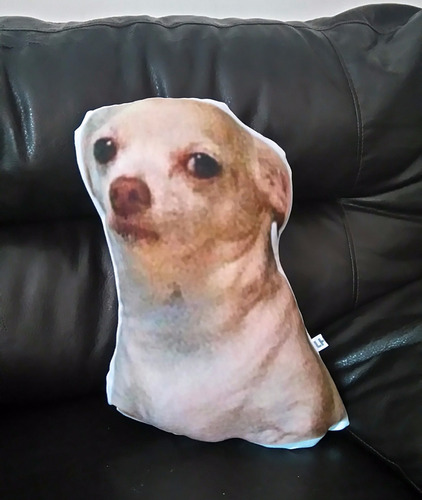 Cojín Decorativo Perro Chihuahua Meme Facebook 199 00 En Mercado Cojín Decorativo Perro Chihuahua Meme Facebook 199 00 En Mercado Libre
