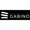 Proyecto Edificio Gabino