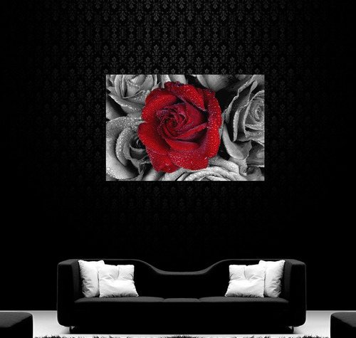 cuadro rosa roja blanco negro flor hermosa rocio 80x120cm